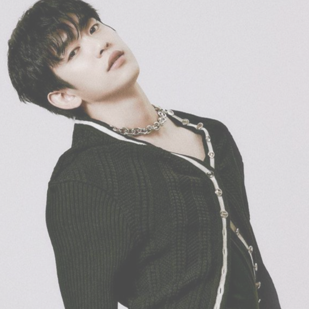 PARK JINYOUNG - Stardust K-pop Shop