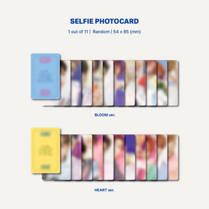 THE BOYZ - BLOOM BLOOM [2nd Single Album] Platform Ver. - Stardust K-pop Shop