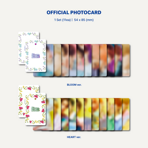 THE BOYZ - BLOOM BLOOM [2nd Single Album] Platform Ver. - Stardust K-pop Shop