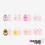 Stray Kids - STAY In Our Little House [6th Fanmeeting] SKZOO Secret Plush Micro Ver.