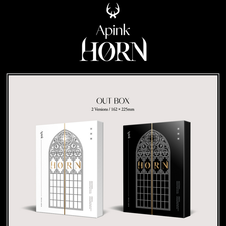 Apink Horn Special Album White version, Black version outbox