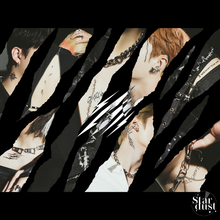 Stray Kids Scars Japanese Album Limited Edition Type C