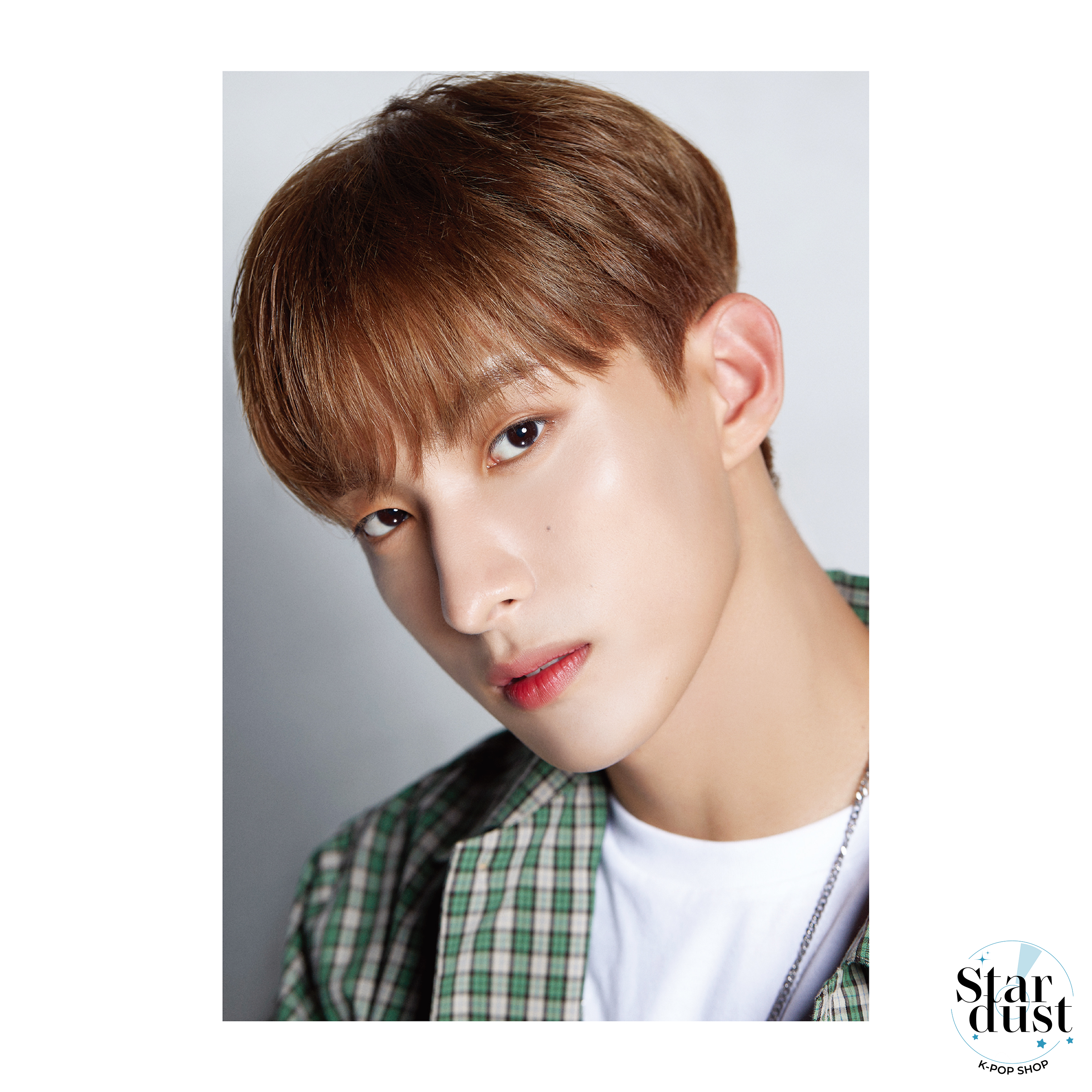 SEVENTEEN - DICON D'FESTA [10th Anniversary] - Stardust K-pop Shop