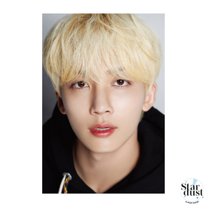 SEVENTEEN - DICON D'FESTA [10th Anniversary] - Stardust K-pop Shop