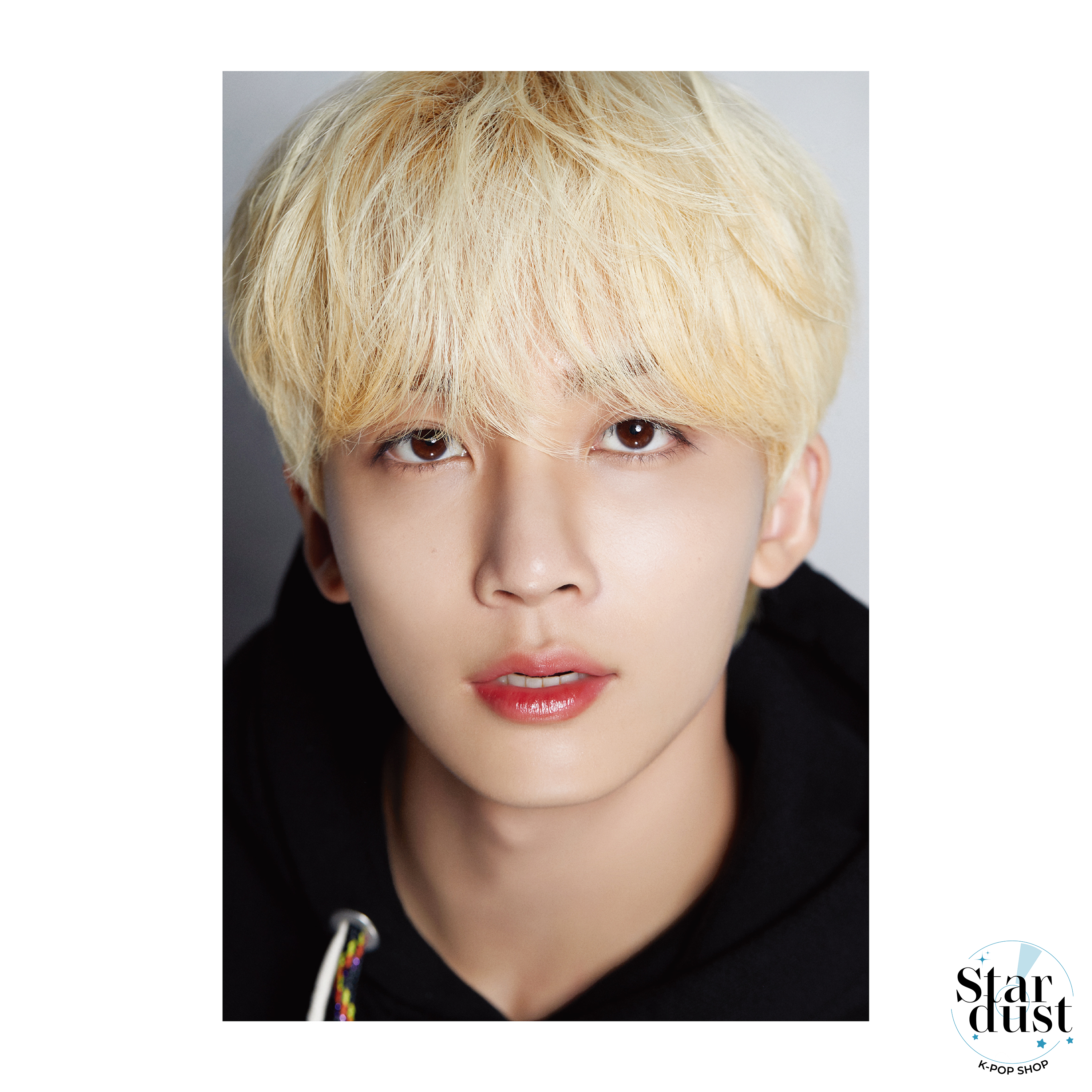 SEVENTEEN - DICON D'FESTA [10th Anniversary] - Stardust K-pop Shop