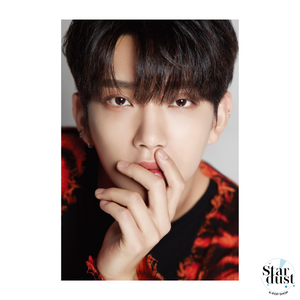 SEVENTEEN - DICON D'FESTA [10th Anniversary] - Stardust K-pop Shop