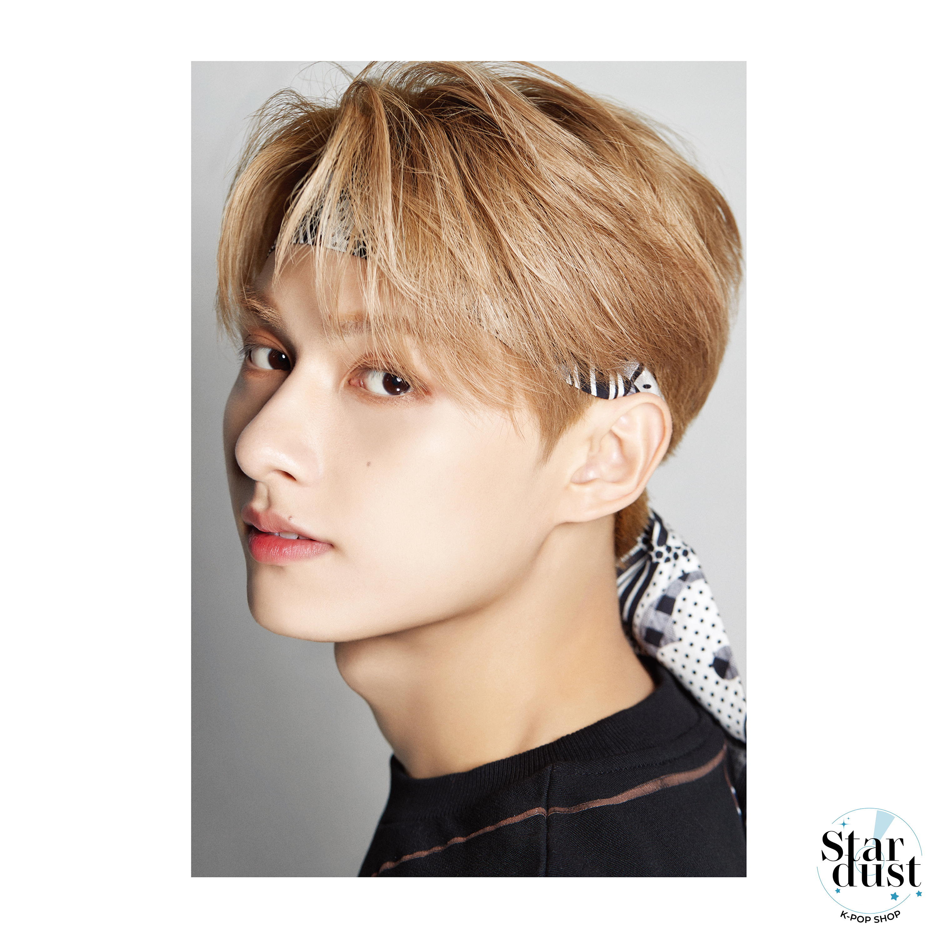 SEVENTEEN - DICON D'FESTA [10th Anniversary] - Stardust K-pop Shop