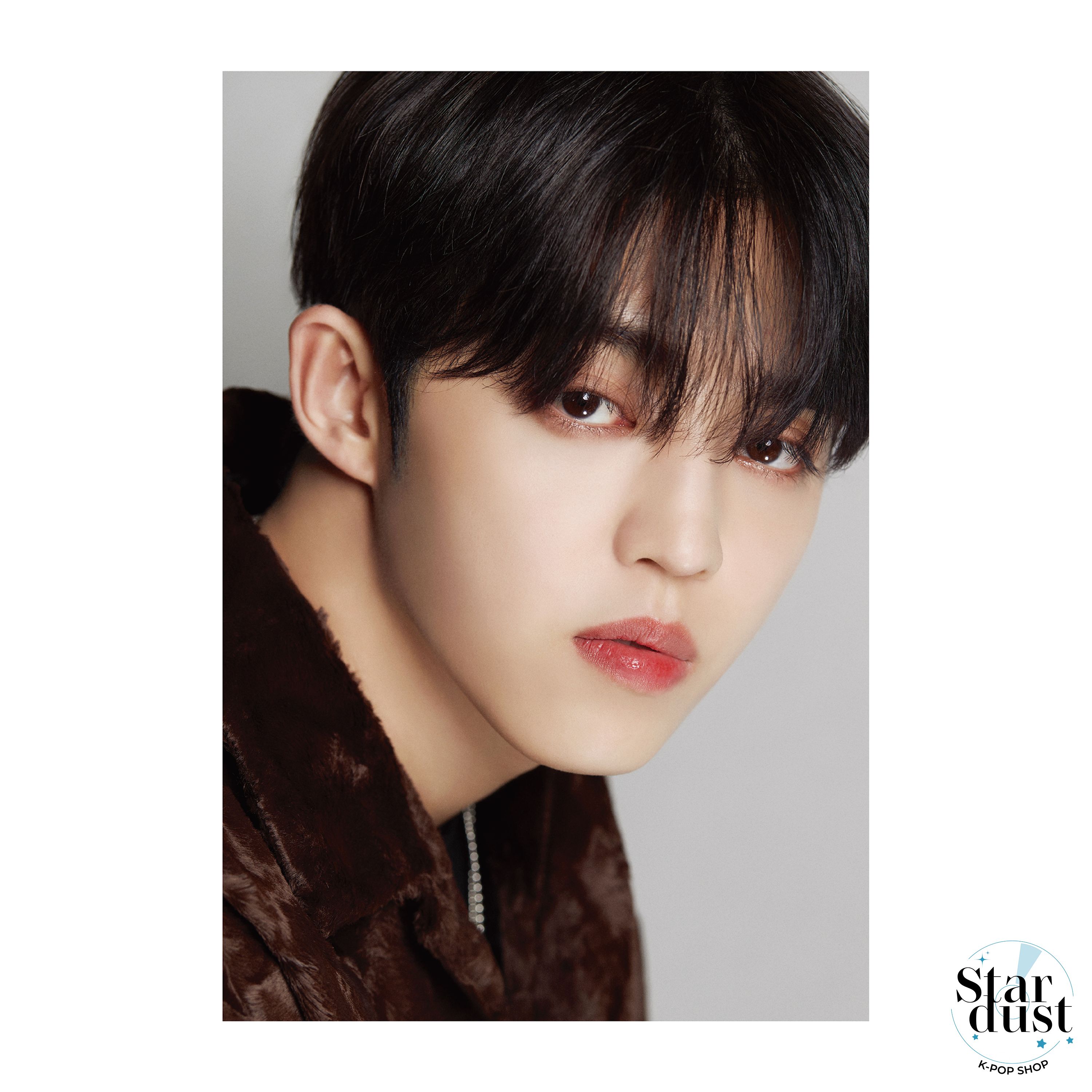SEVENTEEN - DICON D'FESTA [10th Anniversary] - Stardust K-pop Shop