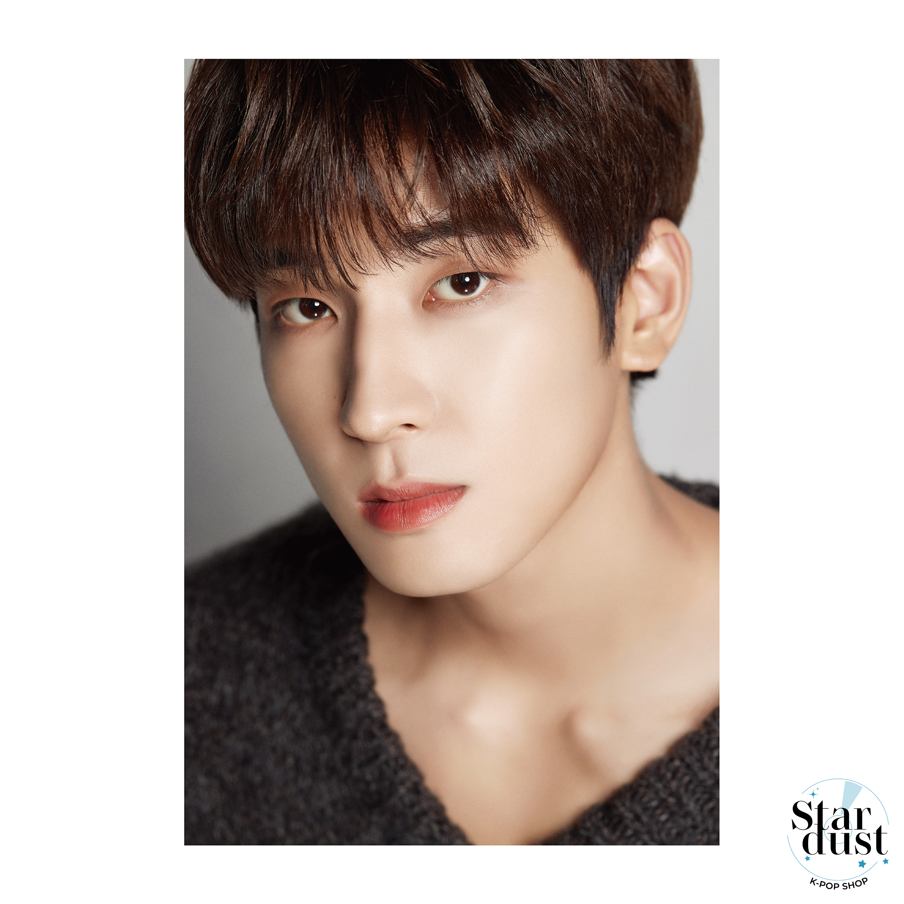 SEVENTEEN - DICON D'FESTA [10th Anniversary] - Stardust K-pop Shop
